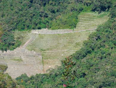 wiñayhuamya site