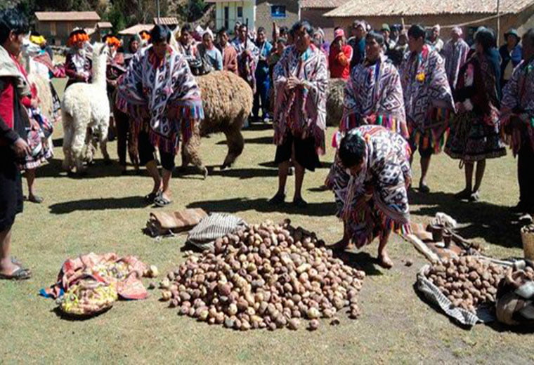 local people showing potatoes