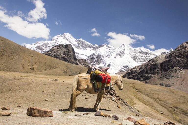 Ausangate 4 days paso Arapa