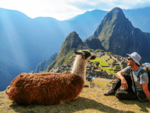 Machu Picchu