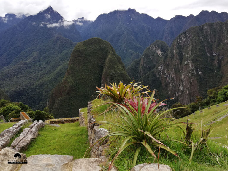 Machu Picchu in the morning - putucusi mountain in the background