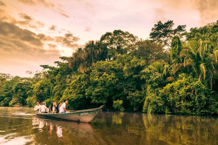 Reserva de Tambopata