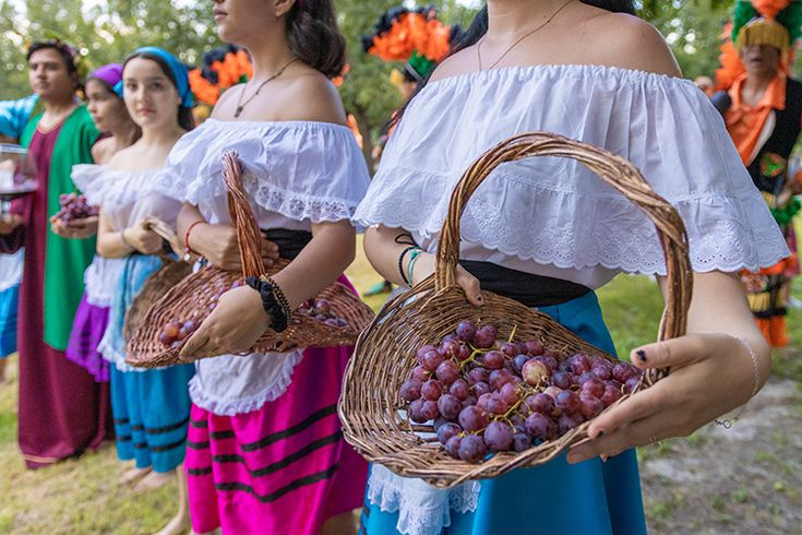 festival de la vendimia Ica