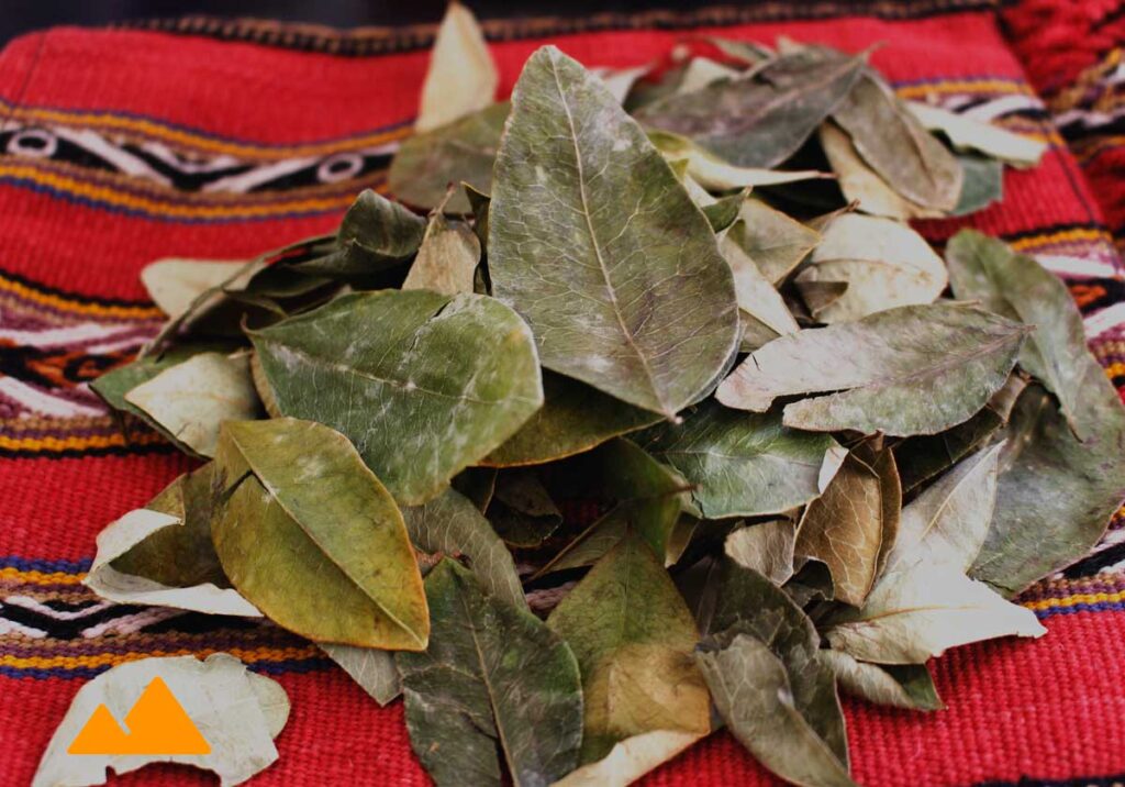 coca leaves